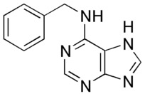 Skeletal formula of 6-benzylaminopurine